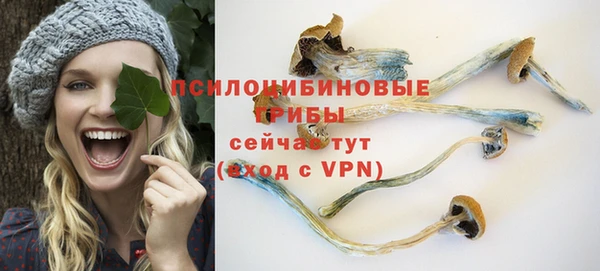 круглые Карталы