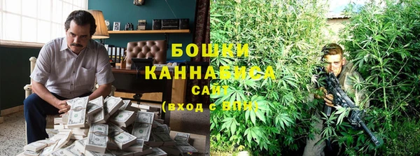 сатива Касимов