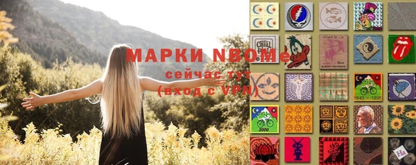 сатива Касимов