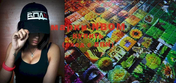 сатива Касимов