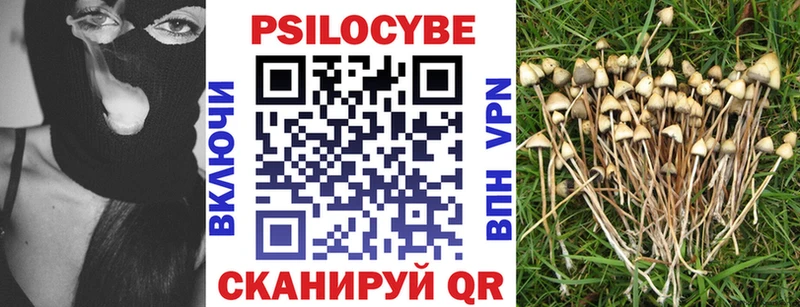 Купить где  Армавир  Псилоцибиновые грибы MAGIC MUSHROOMS 