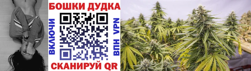 МАРИХУАНА SATIVA & INDICA  Купить закладки  Армавир 